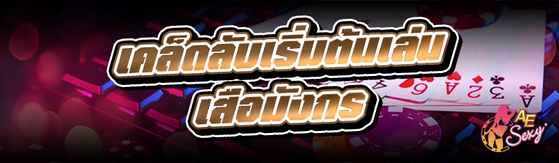 เคล็ดลับเริ่มต้นเล่นเสือมังกร