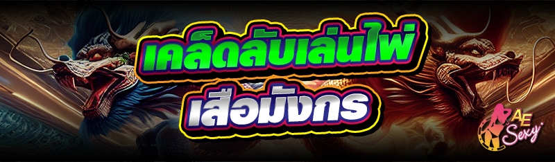 เคล็ดลับเล่นไพ่เสือมังกร