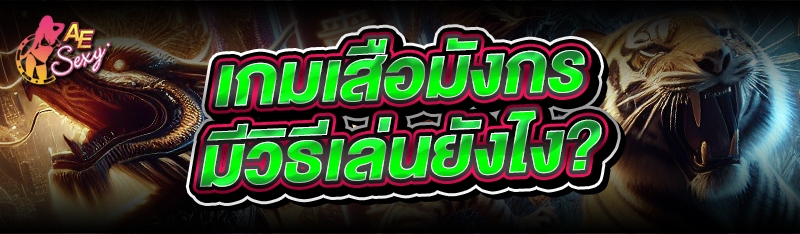 เกมเสือมังกร