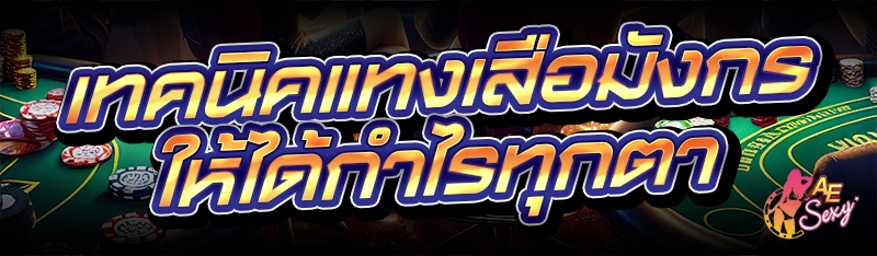 เทคนิคแทงเสือมังกร